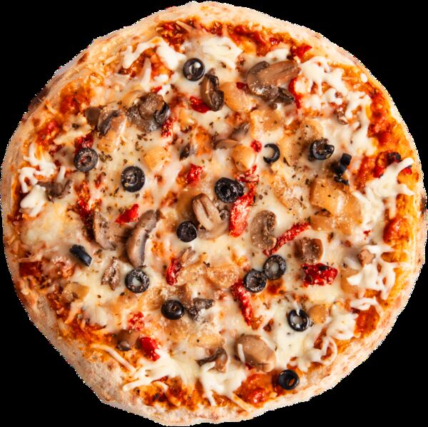 PizzaCam Vegetarian Pizza